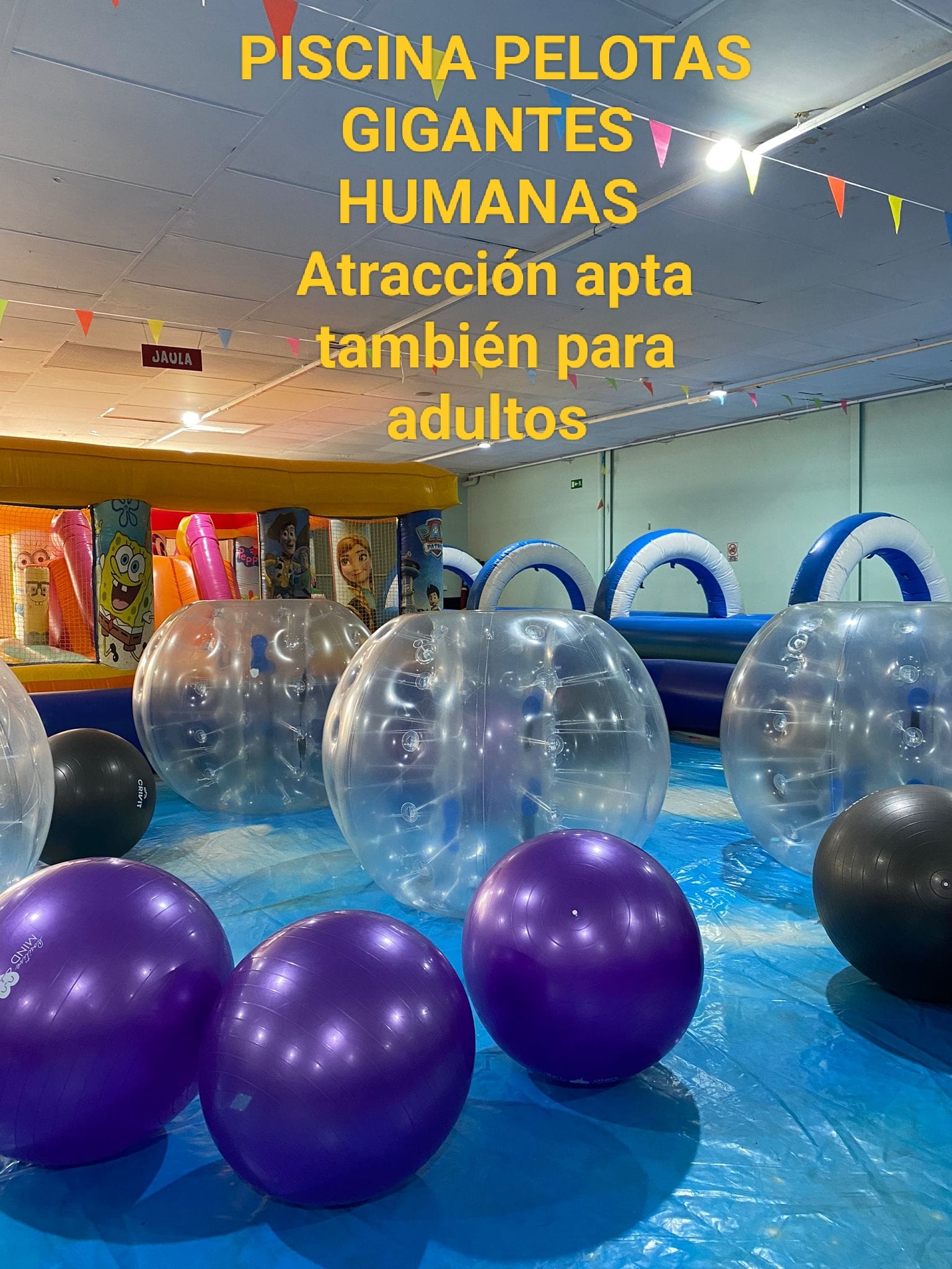 Piscina pelotas gigantes humanas